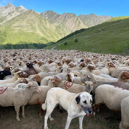 Foux D Centre De La Station 4 Pieces 8 Personnes